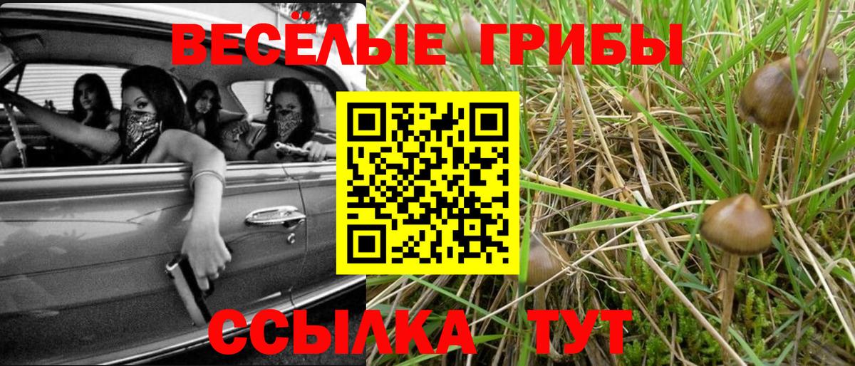 Галлюциногенные грибы Psilocybine cubensis  Псилоцибиновые грибы Psilocybe  Вход с VPN  Тулун 