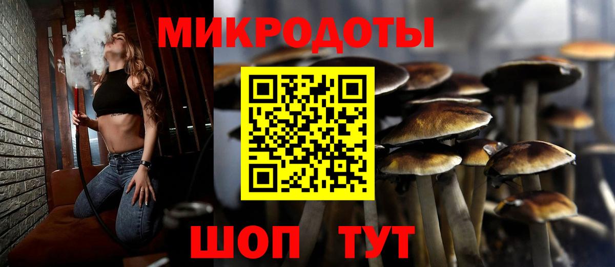 Галлюциногенные грибы Psilocybine cubensis Тулун